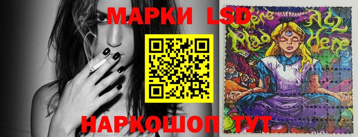 Наркотические марки 1,5мг  Наркотические марки 1,5мг  Вход с VPN  Новозыбков 