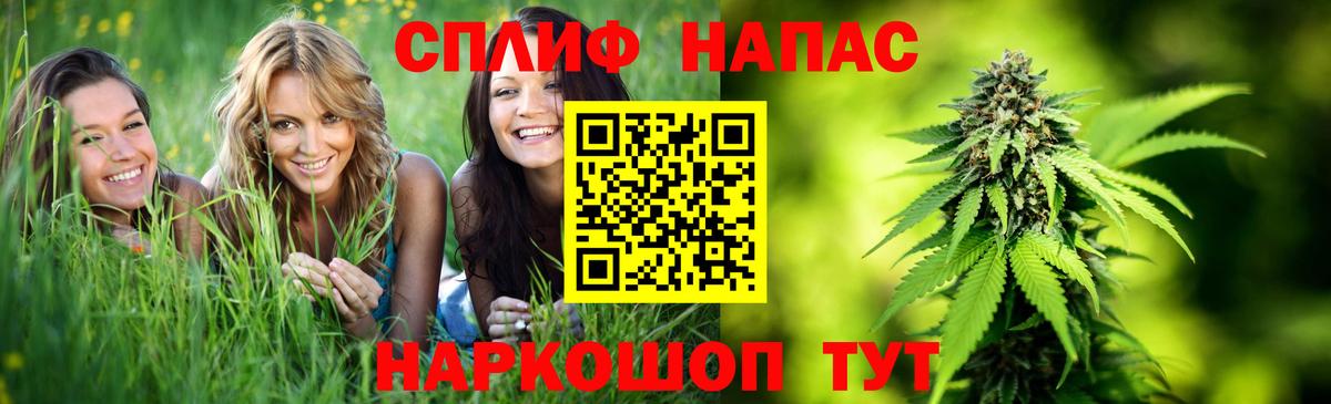 МАРИХУАНА план  Марихуана White Widow  Каннабис AK-47  Новозыбков  Конопля VHQ  Вход с VPN 